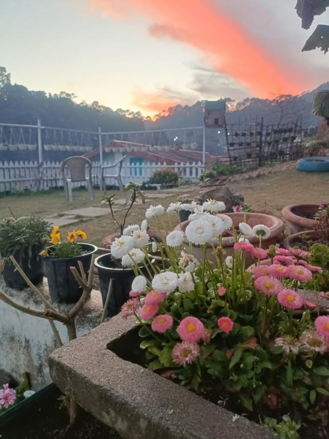 Mohraj Home Stay Bhowali エクステリア 写真